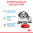 8016 - Box of Royal Canin Medium