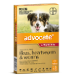 10982 - Advocate, Dogs 10 - 25 kg