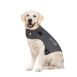 15991 - Dog Anxiety Shirt,