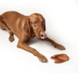 16169 - APT Pig Ears Dog Treats