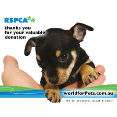 Cash Donation