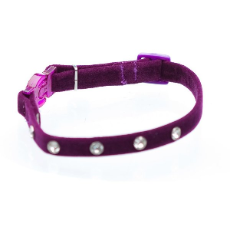Cat Collar, Velvet Purple