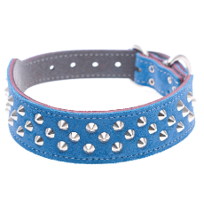 Dog Collar Studded Suede Blue