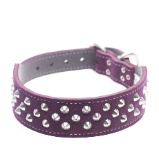 Dog Collar Studded Suede Purple