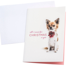 Christmas Card RSPCA All I Want