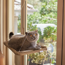 Kazoo Lookout Window Deluxe