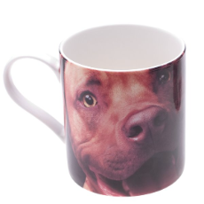 Peter Alexander / RSPCA Brown Dog China Mug 95mmx80mm