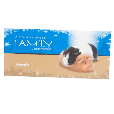 RSPCA Christmas Cards, Family