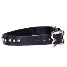 Rogz Luna Dog Collar Black