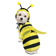 Dog Costume - Bumble Bee