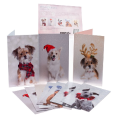 RSPCA Christmas Cards Dog Collection 10 Cards & Envelopes
