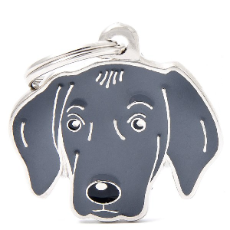 Pet ID Tag Friends Weimaraner Dog 3.2cm x 3cm