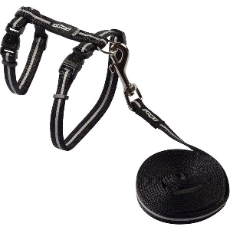 Cat Harness & Lead, Alleycat Black