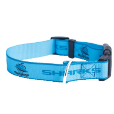 Dog Collar Sharks Design