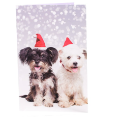 RSPCA Christmas Cards Mixed Dog 10 Cards And Envelopes