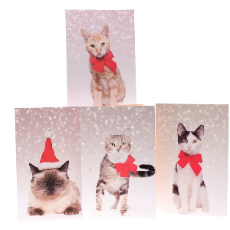 RSPCA Christmas Cards Mixed Cat 10 Cards And Envelopes