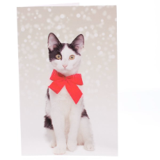 RSPCA Christmas Cards Cat Checkers 10 Cards And Envelopes