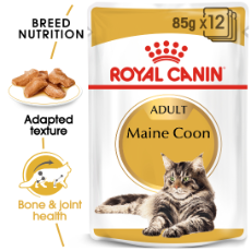 Royal Canin Feline Maine Coon 85g 85g