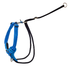 Rogz Control Stop Pull Harness Blue