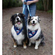 Million Paws Walk 2024 Dog Bandana