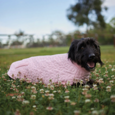 Kazoo Flower Jacket Pink