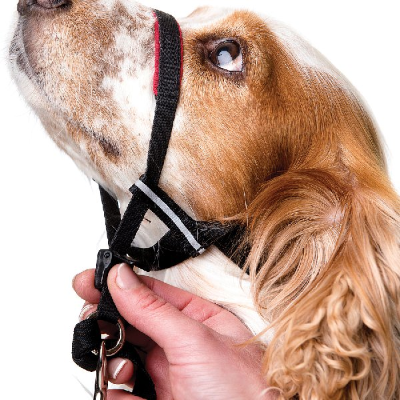 RSPCA World for Pets Buy Your Pet Supplies Online Your Purchase Supports Animals In Need