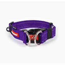 EzyDog Double-Up Collar Purple