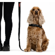 55095 - EzyDog Leash Essential