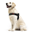 72675 - EzyDog Express Harness Black