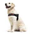 73060 - EzyDog Express Harness Pink