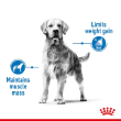 56363 - Royal Canin Dog