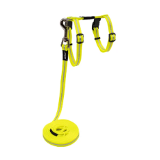 Alleycat Harness And Lead Set- Dayglo 11mm