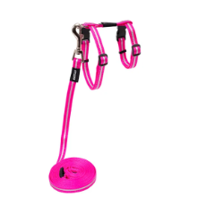 Alleycat Harness And Lead Set- Pink 11mm