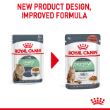 8023 - Royal Canin Feline Digestive