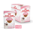 8024 - Royal Canin Kitten