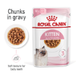 8024 - Royal Canin Kitten