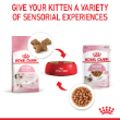 8024 - Royal Canin Kitten