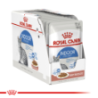 8029 - Royal Canin Feline Indoor