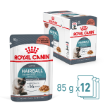 8031 - Royal Canin Feline Hairball