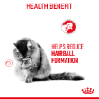 8031 - Royal Canin Feline Hairball