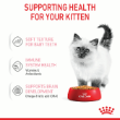 8033 - Royal Canin Kitten Jelly Box