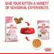 8033 - Royal Canin Kitten Jelly Box