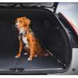 57192 - EzyDog ISOFIX Cargo