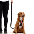 46618 - EzyDog Leash Zero Shock