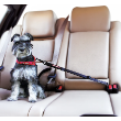 46174 - EzyDog Car Adjustable