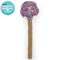 Kazoo Barneys Barkery Dog Cake Pop - Pink/Purple 67gm