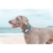 72984 - Red Dingo Dog Collar