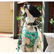 73240 - Dan & Sam Dog Harness