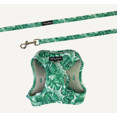 Dan & Sam Step-In Cat Harness & Lead - Lahana