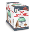 8023 - Royal Canin Feline Digestive